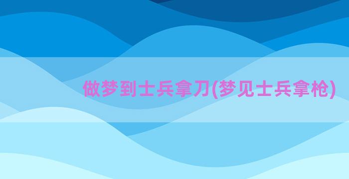 做梦到士兵拿刀(梦见士兵拿枪)