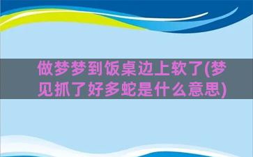 做梦梦到饭桌边上软了(梦见抓了好多蛇是什么意思)