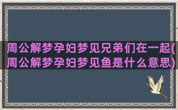 周公解梦孕妇梦见兄弟们在一起(周公解梦孕妇梦见鱼是什么意思)