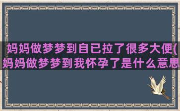 妈妈做梦梦到自已拉了很多大便(妈妈做梦梦到我怀孕了是什么意思)