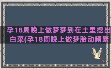 孕18周晚上做梦梦到在土里挖出白菜(孕18周晚上做梦胎动频繁)