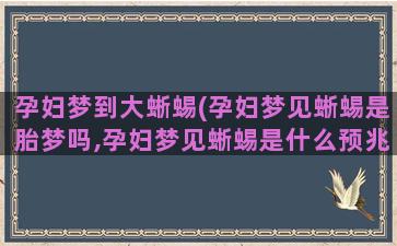 孕妇梦到大蜥蜴(孕妇梦见蜥蜴是胎梦吗,孕妇梦见蜥蜴是什么预兆)