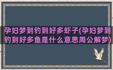 孕妇梦到钓到好多虾子(孕妇梦到钓到好多鱼是什么意思周公解梦)