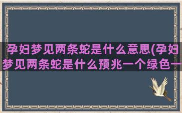 孕妇梦见两条蛇是什么意思(孕妇梦见两条蛇是什么预兆一个绿色一个红色)