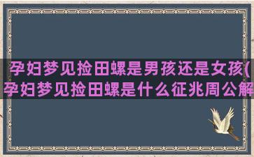 孕妇梦见捡田螺是男孩还是女孩(孕妇梦见捡田螺是什么征兆周公解梦)