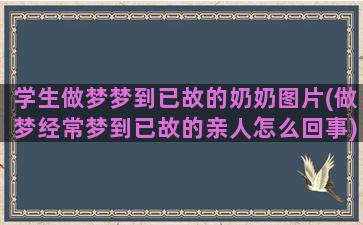 学生做梦梦到已故的奶奶图片(做梦经常梦到已故的亲人怎么回事)