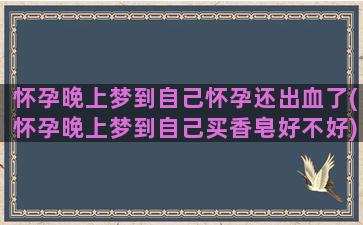 怀孕晚上梦到自己怀孕还出血了(怀孕晚上梦到自己买香皂好不好)