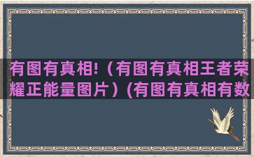 有图有真相!（有图有真相王者荣耀正能量图片）(有图有真相有数据有成效)