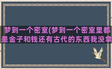 梦到一个密室(梦到一个密室里都是金子和钱还有古代的东西我没拿)