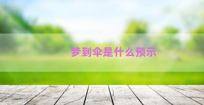 梦到伞是什么预示