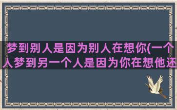 梦到别人是因为别人在想你(一个人梦到另一个人是因为你在想他还是他在想你)