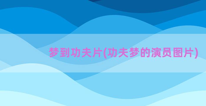 梦到功夫片(功夫梦的演员图片)