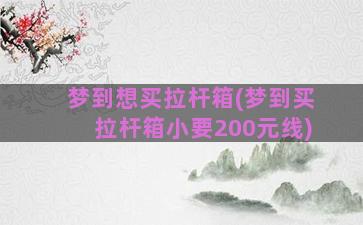 梦到想买拉杆箱(梦到买拉杆箱小要200元线)