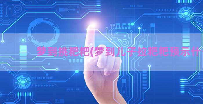 梦到挑粑粑(梦到儿子拉粑粑预示什么)