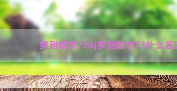 梦到数字734(梦到数字73什么意思)