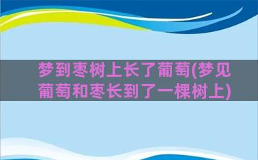 梦到枣树上长了葡萄(梦见葡萄和枣长到了一棵树上)