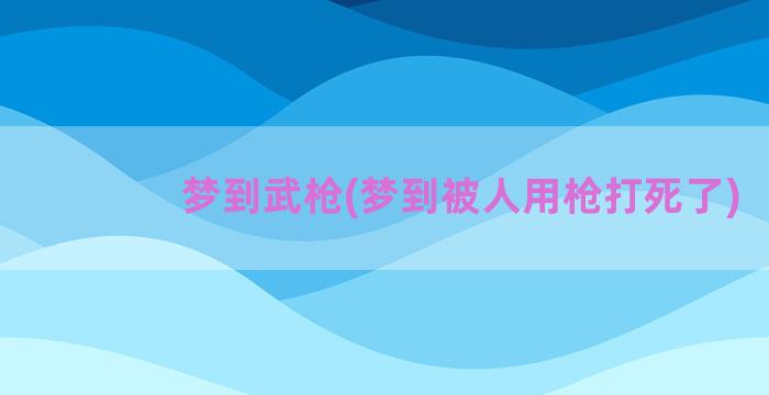 梦到武枪(梦到被人用枪打死了)