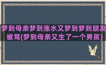 梦到母亲梦到涨水又梦到梦到朋友被骂(梦到母亲又生了一个男孩)