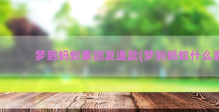 梦到蚂蚁集团发退款(梦到蚂蚁什么意思)