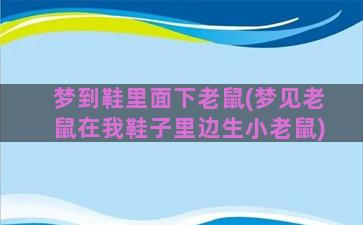 梦到鞋里面下老鼠(梦见老鼠在我鞋子里边生小老鼠)