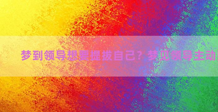 梦到领导想要提拔自己？梦见领导主动要提拨我