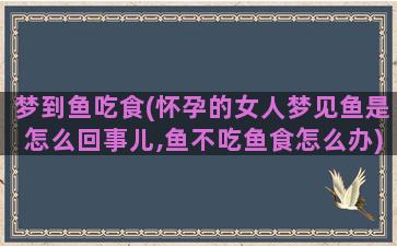 梦到鱼吃食(怀孕的女人梦见鱼是怎么回事儿,鱼不吃鱼食怎么办)