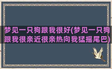 梦见一只狗跟我很好(梦见一只狗跟我很亲近很亲热向我猛摇尾巴)