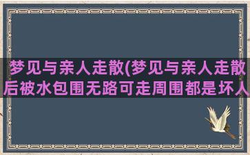 梦见与亲人走散(梦见与亲人走散后被水包围无路可走周围都是坏人)