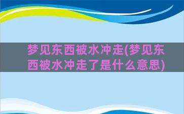 梦见东西被水冲走(梦见东西被水冲走了是什么意思)