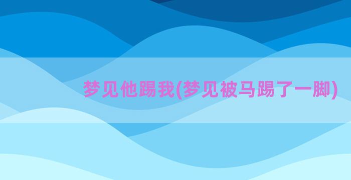 梦见他踢我(梦见被马踢了一脚)