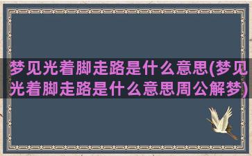 梦见光着脚走路是什么意思(梦见光着脚走路是什么意思周公解梦)