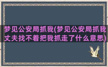 梦见公安局抓我(梦见公安局抓我丈夫找不着把我抓走了什么意思)