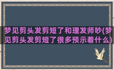 梦见剪头发剪短了和理发师吵(梦见剪头发剪短了很多预示着什么)