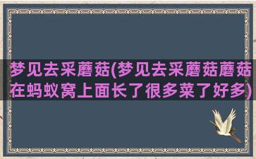 梦见去采蘑菇(梦见去采蘑菇蘑菇在蚂蚁窝上面长了很多菜了好多)