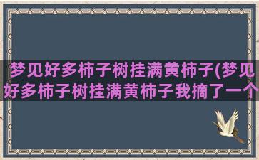 梦见好多柿子树挂满黄柿子(梦见好多柿子树挂满黄柿子我摘了一个柿子)