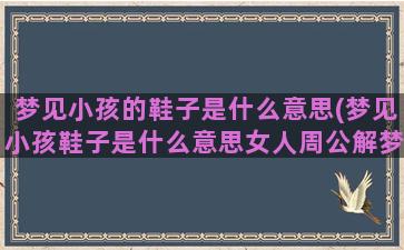 梦见小孩的鞋子是什么意思(梦见小孩鞋子是什么意思女人周公解梦)