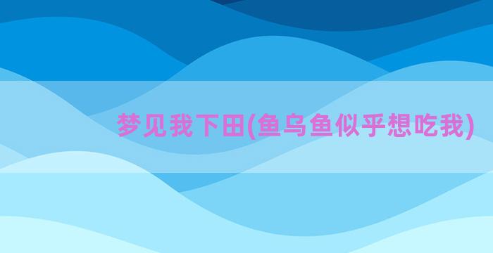 梦见我下田(鱼乌鱼似乎想吃我)