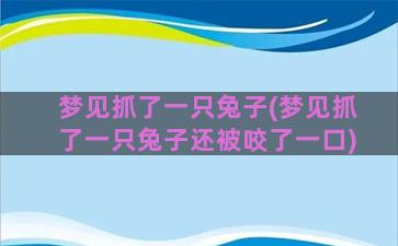 梦见抓了一只兔子(梦见抓了一只兔子还被咬了一口)