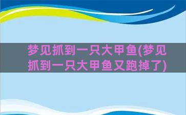 梦见抓到一只大甲鱼(梦见抓到一只大甲鱼又跑掉了)