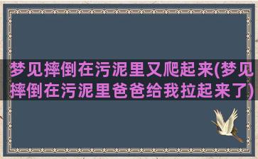 梦见摔倒在污泥里又爬起来(梦见摔倒在污泥里爸爸给我拉起来了)