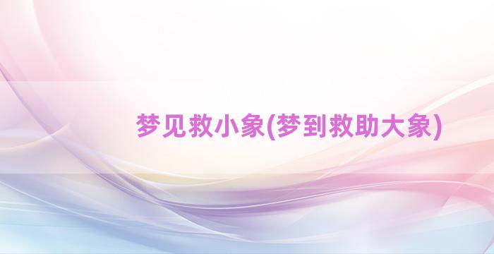 梦见救小象(梦到救助大象)