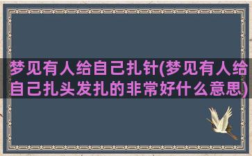 梦见有人给自己扎针(梦见有人给自己扎头发扎的非常好什么意思)