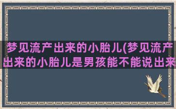 梦见流产出来的小胎儿(梦见流产出来的小胎儿是男孩能不能说出来)