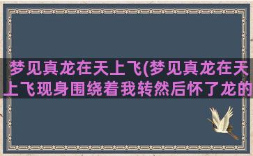 梦见真龙在天上飞(梦见真龙在天上飞现身围绕着我转然后怀了龙的孩子)