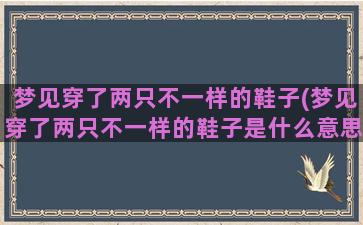 梦见穿了两只不一样的鞋子(梦见穿了两只不一样的鞋子是什么意思)