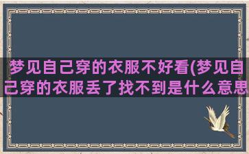 梦见自己穿的衣服不好看(梦见自己穿的衣服丢了找不到是什么意思)