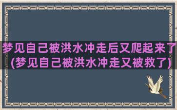 梦见自己被洪水冲走后又爬起来了(梦见自己被洪水冲走又被救了)