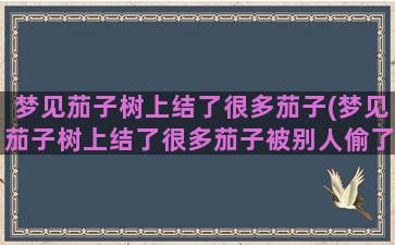 梦见茄子树上结了很多茄子(梦见茄子树上结了很多茄子被别人偷了2个)