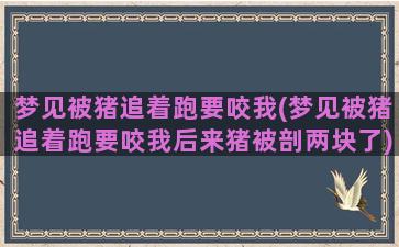 梦见被猪追着跑要咬我(梦见被猪追着跑要咬我后来猪被剖两块了)