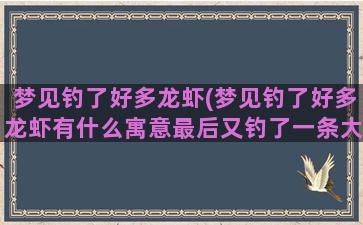 梦见钓了好多龙虾(梦见钓了好多龙虾有什么寓意最后又钓了一条大鱼)